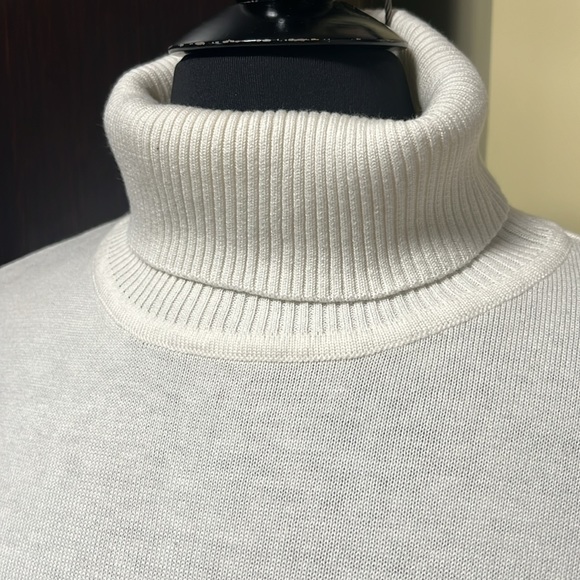 Linea by Louis Dell’olio Embroidered Turtleneck Sweater - Picture 4 of 7